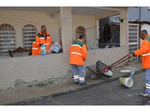 Yeşilyurt Belediyesi, Çöp Evi Temizledi