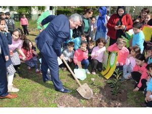 Körfez Minik Ellerle Yeşilleniyor