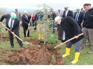 Erdoğan Adına Hatıra Ormanı Oluşturuldu