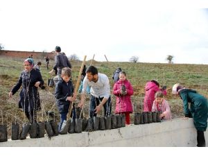 Kastamonu’da Üniversiteli Öğrencilerden Örnek Proje