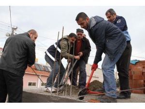 Bağlar’da Kaçak Yapılan İki Ev Yıkıldı