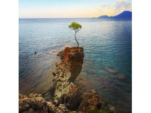 Photoantalya Yarışması Sonuçlandı