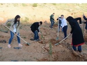 Mardin’de Kardeşlik Ormanı Oluşturuldu