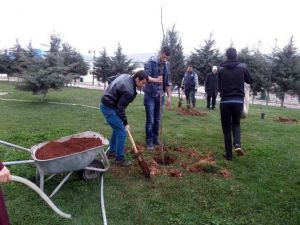 Baharı Ağaç Dikerek Karşıladılar