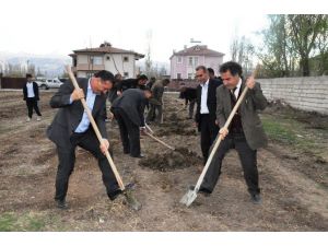 Iğdır Belediyesi’nden Fidan Dikimi