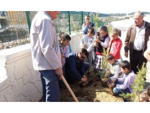 Öğrenciler Okul Bahçesinde 250 Fidanı Toprakla Buluşturdu