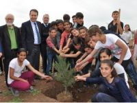 Kaymakam Sündük Öğrencilerle Birlikte Fidan Dikti