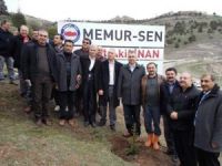 Elazığ’da Mehmet Akif İnan Hatıra Ormanı Oluşturuldu