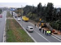 Yalova’da Yeni Ağaç Polemiği