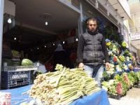 Yayla Muzu Tezgahlardaki Yerini Aldı