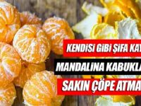 Mandalina Kabuklarının Faydalarını Okuyunca kabukları artık atmayacaksınız