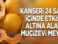 Kanseri etkisi altına alan mucizevi meyve