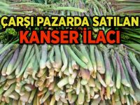 KANSERLİ HÜCRELERİ YOK EDİYOR