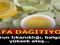 DAHA ÖNCE HİÇ DUYMAMIŞTIK, MEĞER HER DERDİN DEVASIYMIŞ