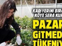 Kariyerini Bırakıp Köye Sera Kurdu ! Pazara Gitmeden Bitiyor…