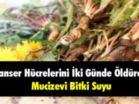 KANSER HÜCRELERİNİ İKİ GÜNDE YOKEDEN MUCİZEVİ BİTKİ SUYU