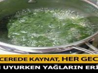 KİM DEMİŞ KİLO VEREMİYORUM DİYE. TENCEREDE K-AYNAT HER GECE İÇ YAĞLARIN ERİSİN