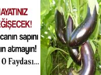 SAKIN PATLICANIN SAPINI ATMAYIN… MUCİZELER YARATIYOR