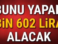 Bunu yapan bin 602 lira alacak