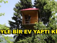 Ağacın Tepesine Öyle bir yere ev yaptı ki! –