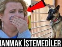 Sahipleri Uyurken Köpeğin Her Gece Yaptığını Görenler Gözyaşlarını Tutamadılar !!