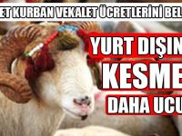 Yurt Dışında Kesmek Daha Ucuz