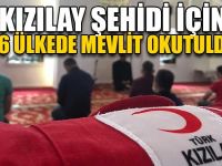 Şehit Kıdıman İçin 16 Ülkede Mevlit Okutuldu