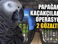 Papağan Kaçakçılarına Operasyon