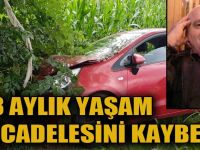 3 Aylık Yaşam Mücadelesini Kaybetti