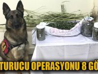 Bolu’da uyuşturucu operasyonu: 8 gözaltı