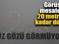 Göz Gözü Görmüyor