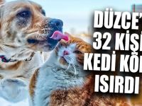 32 Kişiyi Kedi Köpek Isırdı