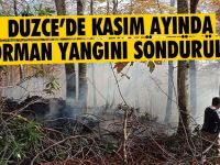 Düzce’de Kasım Ayında 5 Orman Yangını Söndürüldü