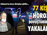 Horoz Dövüştürürken Yakalandılar