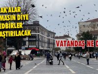 Vak'alar Artmasın Diye Tedbirler Sıklaştırılacak