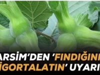 TARSİM’den ''Fındığınızı Sigortalatın'' Uyarısı