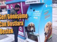 Hem geri dönüşüme hem can dostlara destek