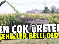 Düzce en çok silajlık mısır üreten şehirler arasında