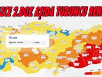 2.Doz Aşıda Turuncu Renkte