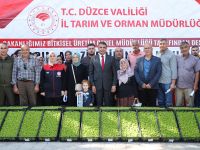 Düzce’de çiftçilere 250 bin marul fidesi dağıtıldı