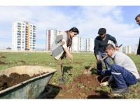 Diyarbakır Büyükşehir Belediyesi Kentin İlk Meyve Bahçesini Oluşturdu